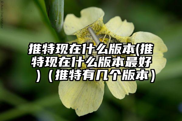 推特现在什么版本(推特现在什么版本最好 )（推特有几个版本）