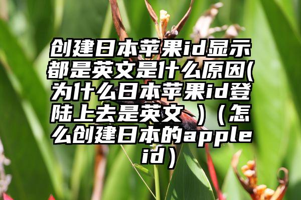 创建日本苹果id显示都是英文是什么原因(为什么日本苹果id登陆上去是英文 )（怎么创建日本的apple id）