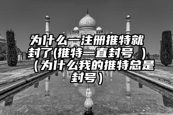 为什么一注册推特就封了(推特一直封号 )（为什么我的推特总是封号）