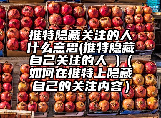 推特隐藏关注的人什么意思(推特隐藏自己关注的人 )（如何在推特上隐藏自己的关注内容）