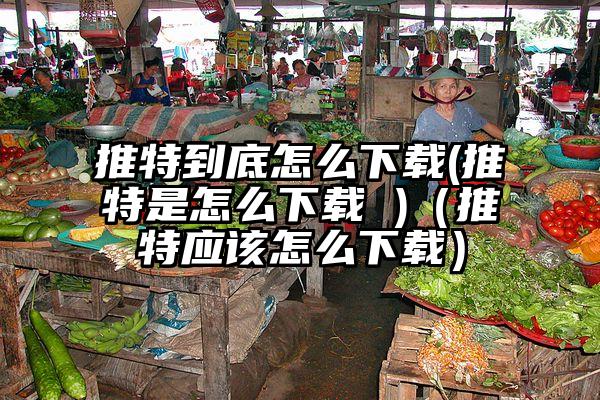 推特到底怎么下载(推特是怎么下载 )（推特应该怎么下载）