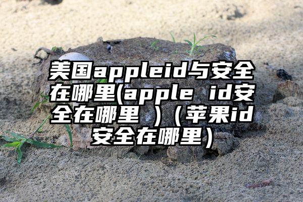 美国appleid与安全在哪里(apple id安全在哪里 )(苹果id安全在哪里)