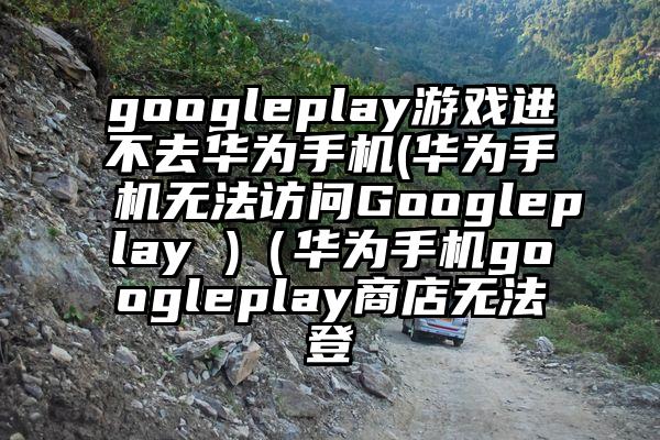 googleplay游戏进不去华为手机(华为手机无法访问Googleplay )（华为手机googleplay商店无法登