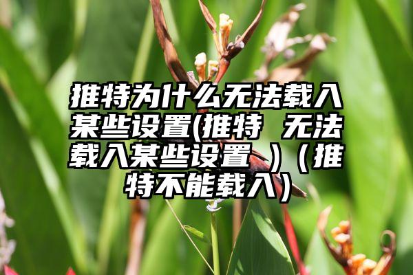 推特为什么无法载入某些设置(推特 无法载入某些设置 )（推特不能载入）