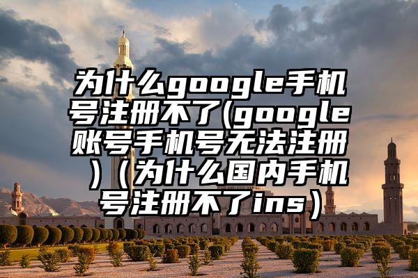 为什么google手机号注册不了(google账号手机号无法注册 )（为什么国内手机号注册不了ins）