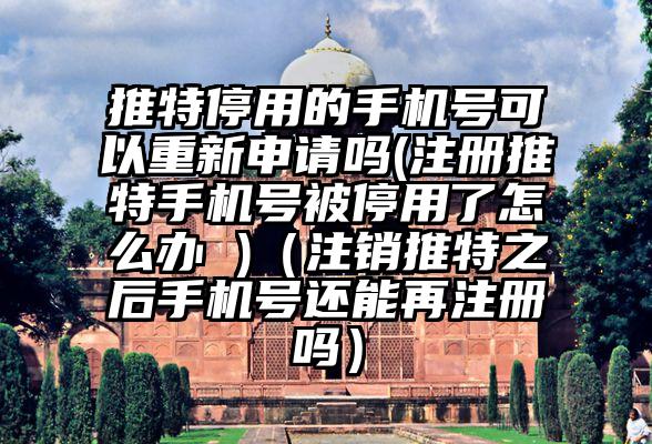 推特停用的手机号可以重新申请吗(注册推特手机号被停用了怎么办 )（注销推特之后手机号还能再注册吗）