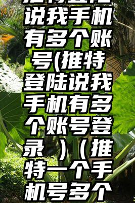 推特登陆说我手机有多个账号(推特登陆说我手机有多个账号登录 )（推特一个手机号多个账号）