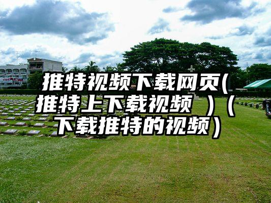 推特视频下载网页(推特上下载视频 )（下载推特的视频）