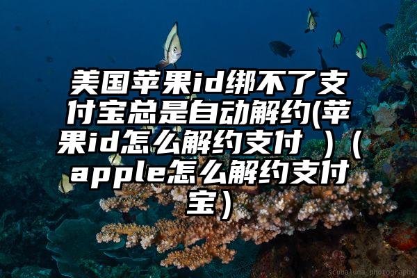 美国苹果id绑不了支付宝总是自动解约(苹果id怎么解约支付 )（apple怎么解约支付宝）