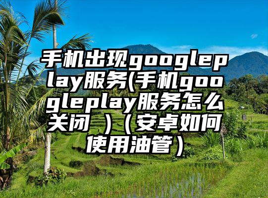 手机出现googleplay服务(手机googleplay服务怎么关闭 )（安卓如何使用油管）