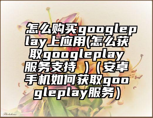 怎么购买googleplay上应用(怎么获取googleplay服务支持 )（安卓手机如何获取googleplay服务）