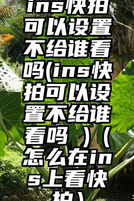 ins快拍可以设置不给谁看吗(ins快拍可以设置不给谁看吗 )（怎么在ins上看快拍）