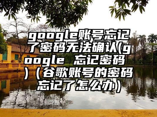 google账号忘记了密码无法确认(google 忘记密码 )（谷歌账号的密码忘记了怎么办）