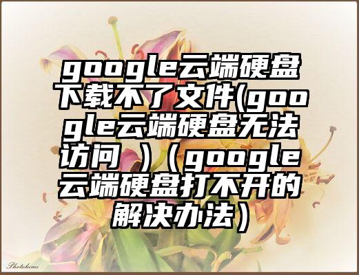 google云端硬盘下载不了文件(google云端硬盘无法访问 )（google云端硬盘打不开的解决办法）