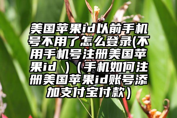 美国苹果id以前手机号不用了怎么登录(不用手机号注册美国苹果id )（手机如何注册美国苹果id账号添加支付宝付款）