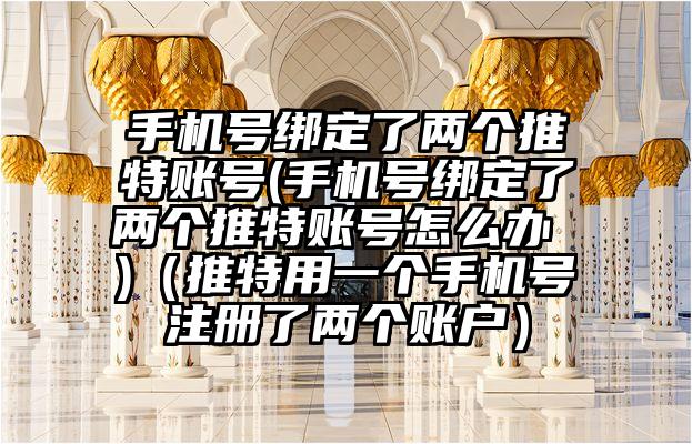 手机号绑定了两个推特账号(手机号绑定了两个推特账号怎么办 )（推特用一个手机号注册了两个账户）