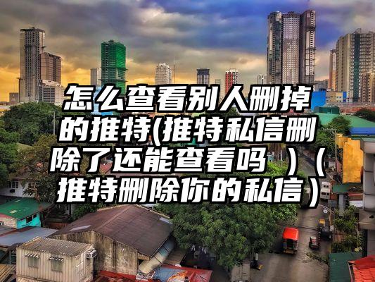 怎么查看别人删掉的推特(推特私信删除了还能查看吗 )(推特删除你的私信)
