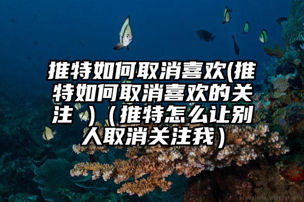 推特如何取消喜欢(推特如何取消喜欢的关注 )（推特怎么让别人取消关注我）