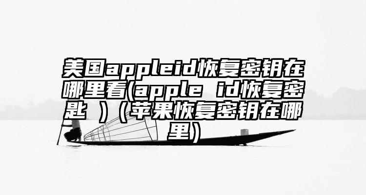 美国appleid恢复密钥在哪里看(apple id恢复密匙 )（苹果恢复密钥在哪里）