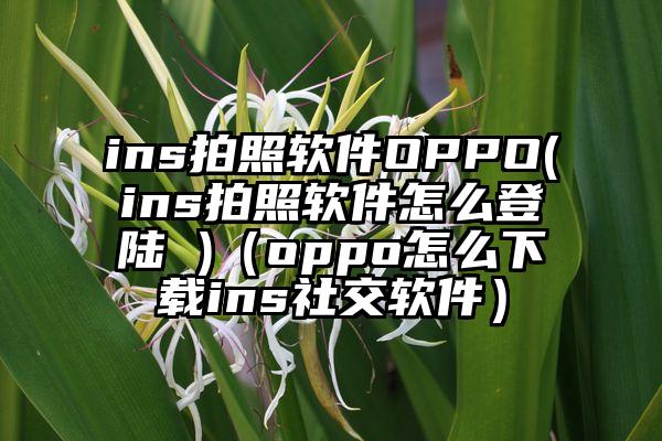 ins拍照软件OPPO(ins拍照软件怎么登陆 )（oppo怎么下载ins社交软件）