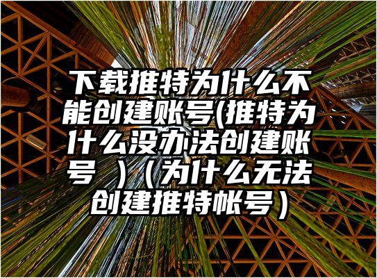 下载推特为什么不能创建账号(推特为什么没办法创建账号 )（为什么无法创建推特帐号）