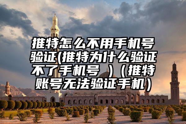推特怎么不用手机号验证(推特为什么验证不了手机号 )（推特账号无法验证手机）