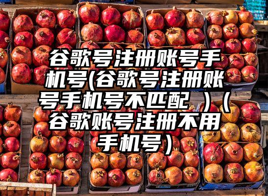 谷歌号注册账号手机号(谷歌号注册账号手机号不匹配 )（谷歌账号注册不用手机号）