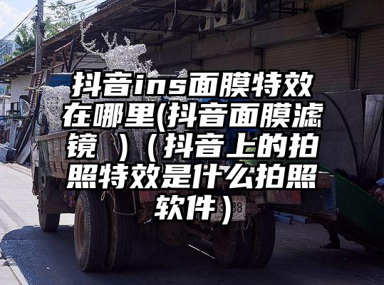 抖音ins面膜特效在哪里(抖音面膜滤镜 )（抖音上的拍照特效是什么拍照软件）