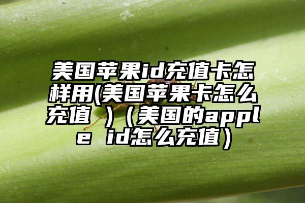 美国苹果id充值卡怎样用(美国苹果卡怎么充值 )（美国的apple id怎么充值）