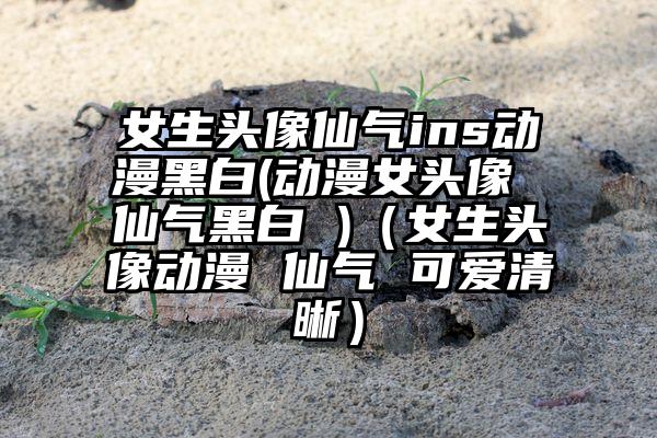 女生头像仙气ins动漫黑白(动漫女头像 仙气黑白 )（女生头像动漫 仙气 可爱清晰）