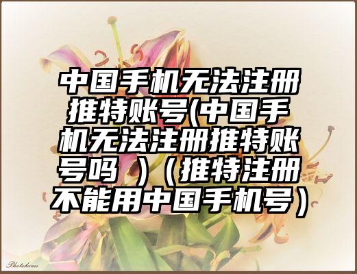中国手机无法注册推特账号(中国手机无法注册推特账号吗 )（推特注册不能用中国手机号）