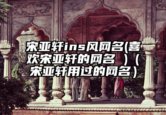 宋亚轩ins风网名(喜欢宋亚轩的网名 )（宋亚轩用过的网名）