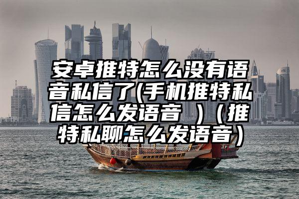 安卓推特怎么没有语音私信了(手机推特私信怎么发语音 )（推特私聊怎么发语音）