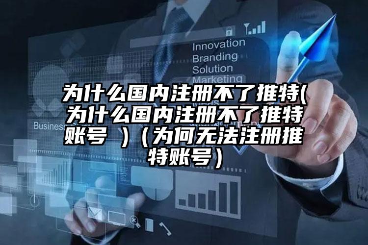 为什么国内注册不了推特(为什么国内注册不了推特账号 )（为何无法注册推特账号）