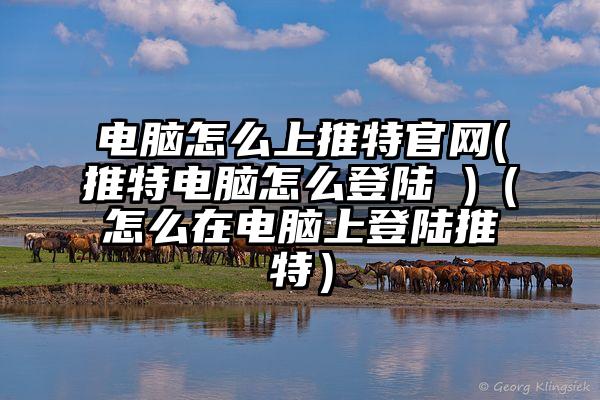 电脑怎么上推特官网(推特电脑怎么登陆 )（怎么在电脑上登陆推特）