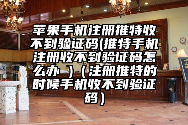 苹果手机注册推特收不到验证码(推特手机注册收不到验证码怎么办 )（注册推特的时候手机收不到验证码）