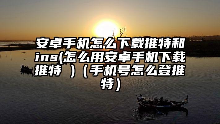 安卓手机怎么下载推特和ins(怎么用安卓手机下载推特 )（手机号怎么登推特）