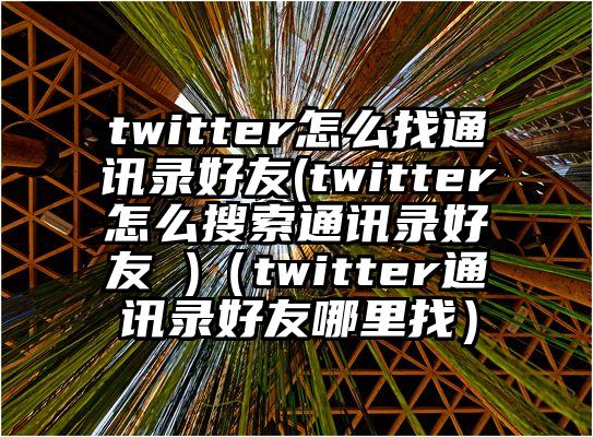 twitter怎么找通讯录好友(twitter怎么搜索通讯录好友 )（twitter通讯录好友哪里找）