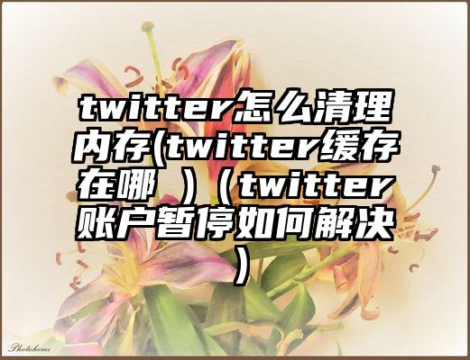 twitter怎么清理内存(twitter缓存在哪 )（twitter账户暂停如何解决）