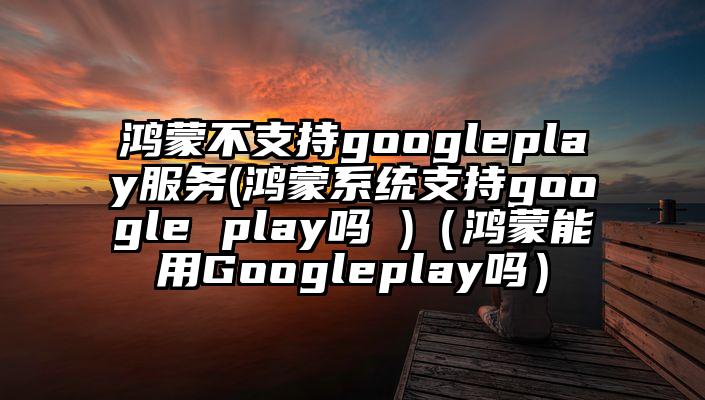鸿蒙不支持googleplay服务(鸿蒙系统支持google play吗 )（鸿蒙能用Googleplay吗）