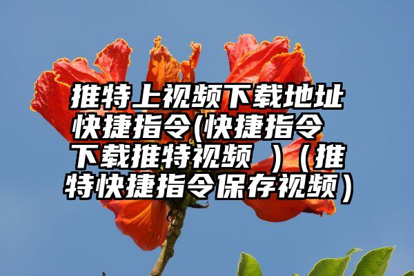 推特上视频下载地址快捷指令(快捷指令 下载推特视频 )（推特快捷指令保存视频）