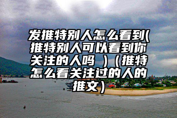 发推特别人怎么看到(推特别人可以看到你关注的人吗 )（推特怎么看关注过的人的推文）