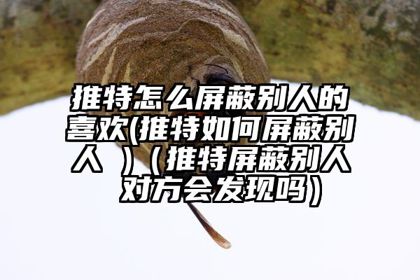 推特怎么屏蔽别人的喜欢(推特如何屏蔽别人 )（推特屏蔽别人 对方会发现吗）