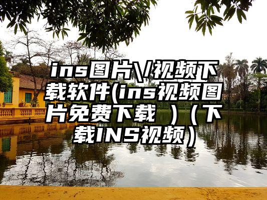 ins图片\/视频下载软件(ins视频图片免费下载 )（下载INS视频）