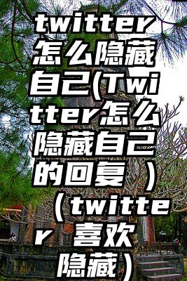 twitter怎么隐藏自己(Twitter怎么隐藏自己的回复 )（twitter 喜欢 隐藏）