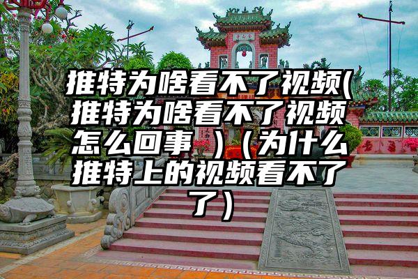推特为啥看不了视频(推特为啥看不了视频怎么回事 )（为什么推特上的视频看不了了）