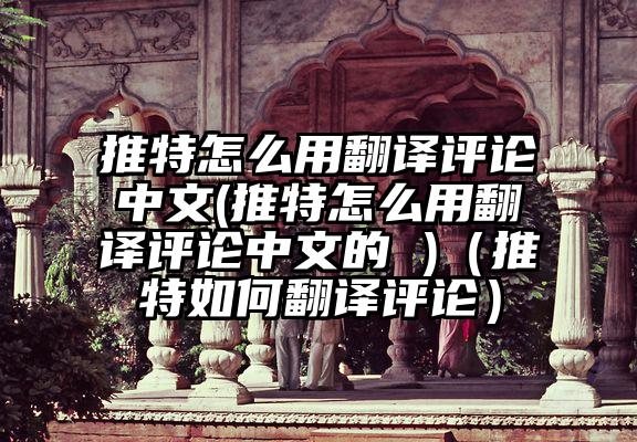 推特怎么用翻译评论中文(推特怎么用翻译评论中文的 )（推特如何翻译评论）