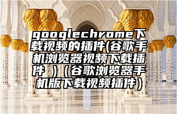 googlechrome下载视频的插件(谷歌手机浏览器视频下载插件 )（谷歌浏览器手机版下载视频插件）