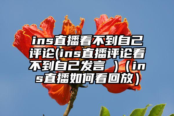 ins直播看不到自己评论(ins直播评论看不到自己发言 )（ins直播如何看回放）