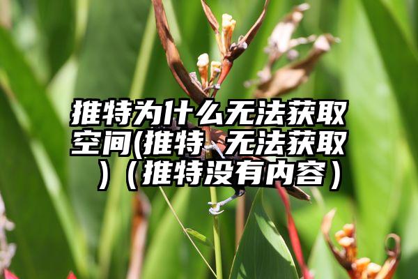 推特为什么无法获取空间(推特 无法获取 )（推特没有内容）